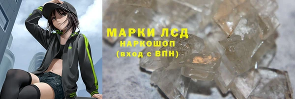 трава Осинники
