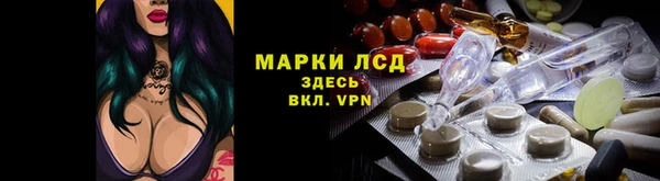 трава Осинники