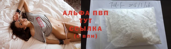 трава Осинники